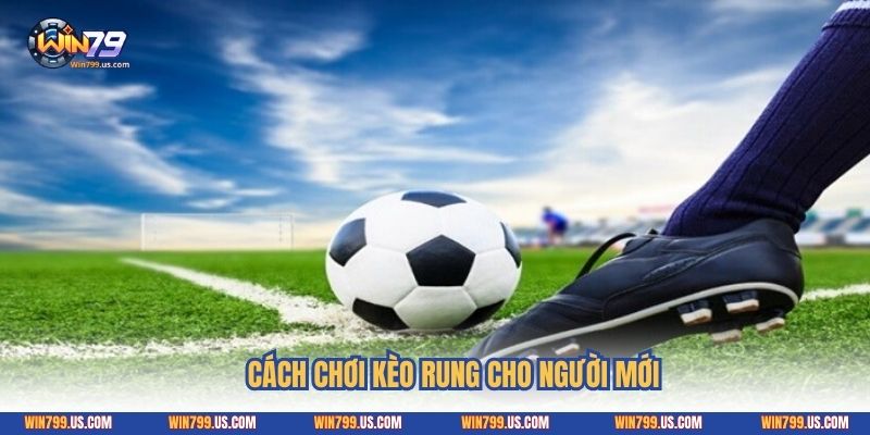 Cách chơi kèo rung cho người mới