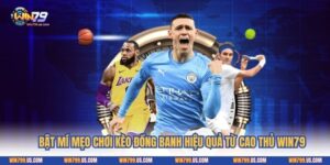 Bật Mí Mẹo Chơi Kèo Đồng Banh Hiệu Quả Từ Cao Thủ Win79