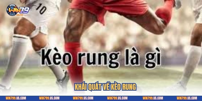 Khái quát về kèo rung