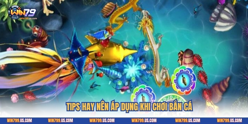 Tips hay nên áp dụng khi chơi bắn cá